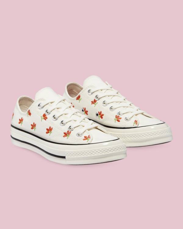 Converse Chuck 70 Embroidered Garden Party Low Tops Shoes Beige | CV-459PXM