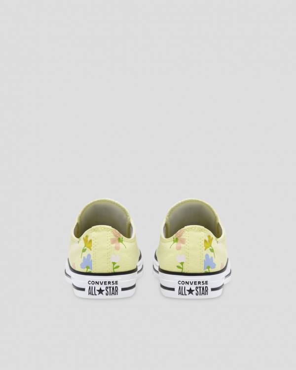 Converse Chuck Taylor All Star Garden Party Low Tops Shoes Yellow | CV-913GUQ