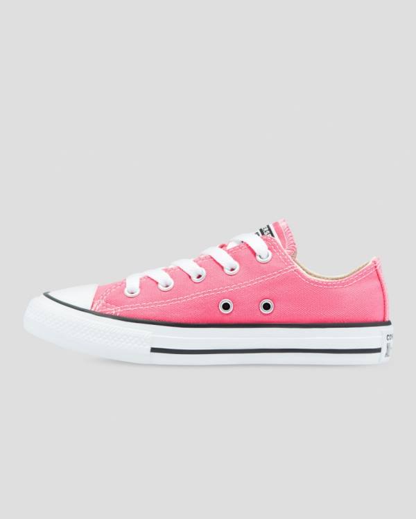 Converse Chuck Taylor All Star Seasonal Colour Low Tops Shoes Pink | CV-153XQW