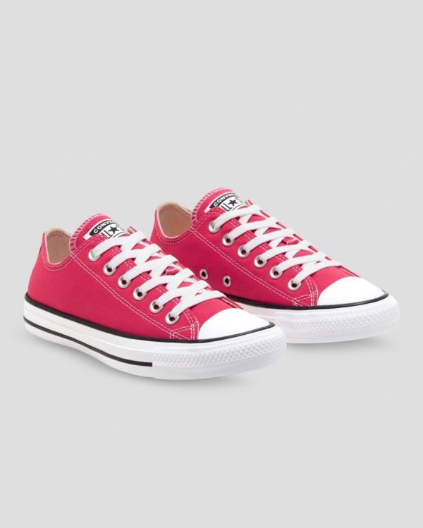 Converse Chuck Taylor All Star Seasonal Colour Low Tops Shoes Pink | CV-328FUQ