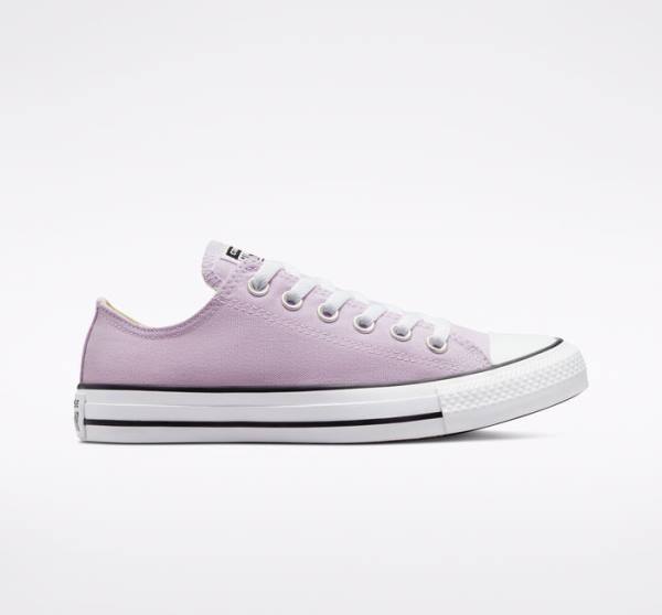 Converse Chuck Taylor All Star Seasonal Color Low Tops Shoes Lavender | CV-794UEB