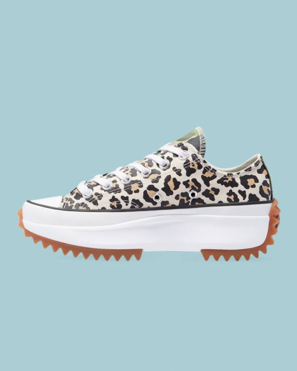 Converse Run Star Hike Wild Archive Low Tops Shoes Leopard | CV-732ZIF